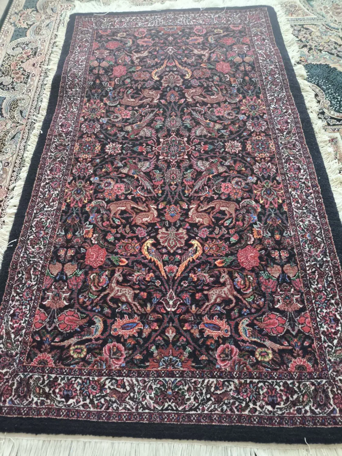 فرش دست بافت ذرع ونیم|فرش|محمدیه-قزوین, |دیوار