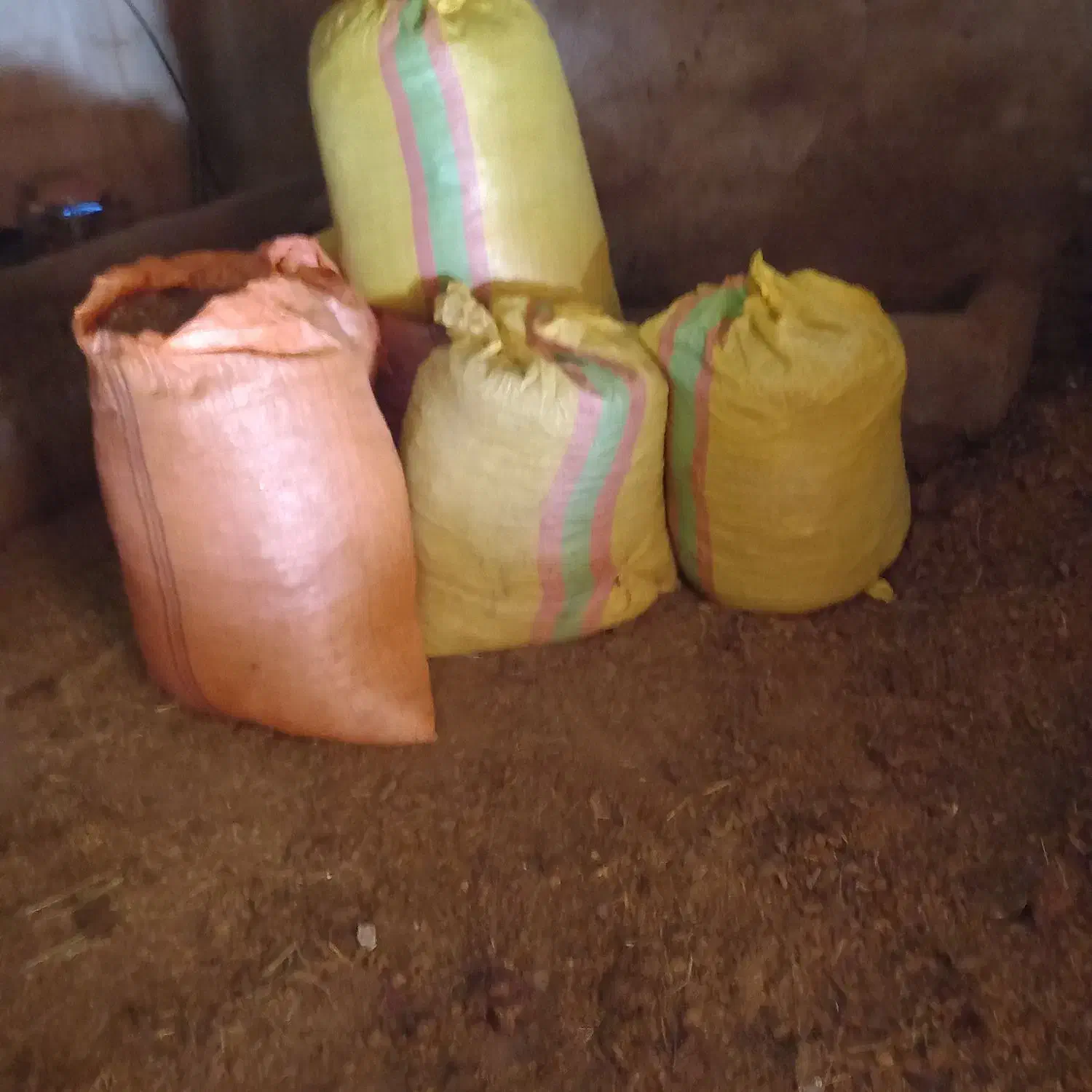 پهن خشک|لوازم جانبی حیوانات|ملکان, |دیوار