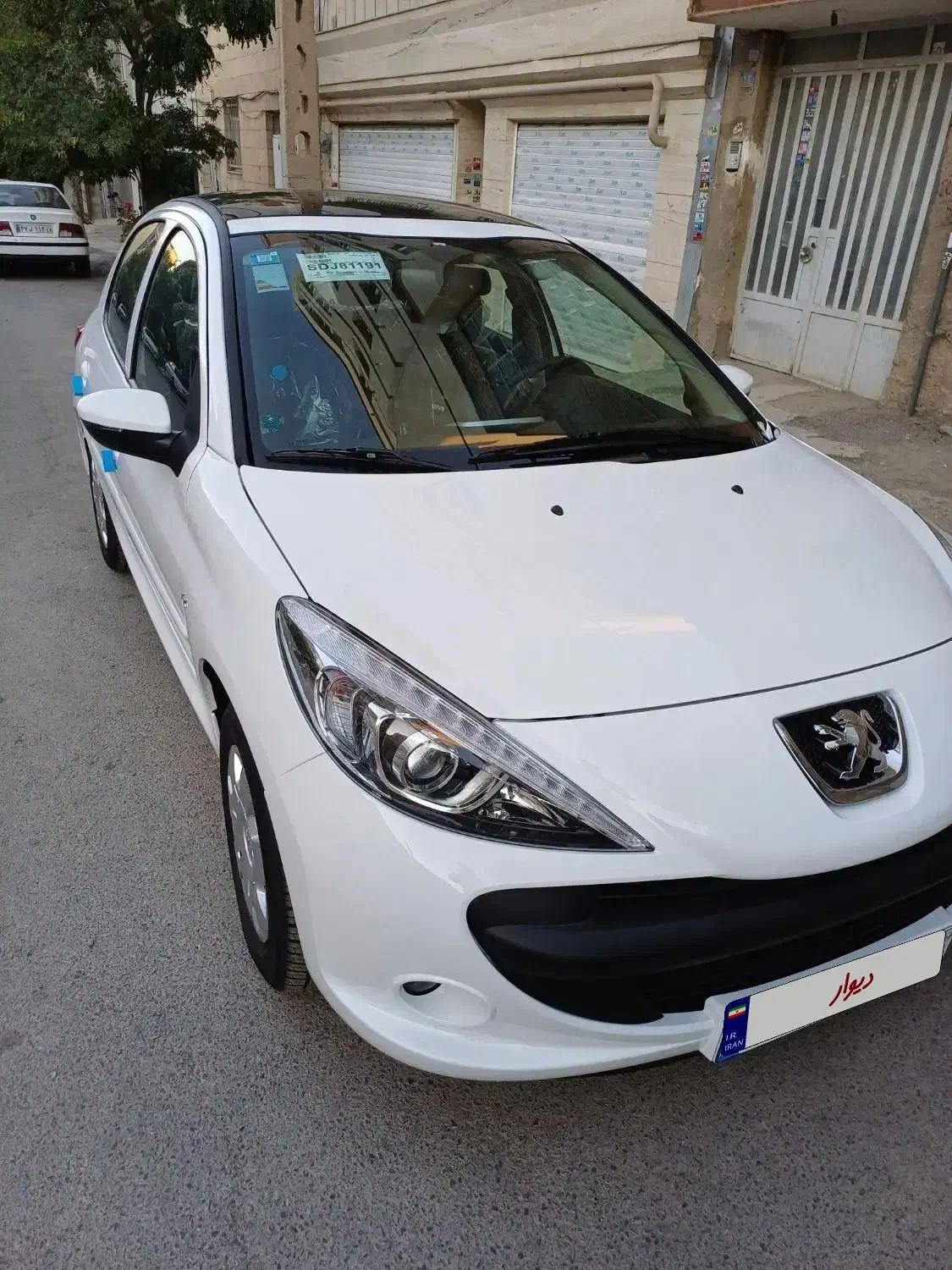 ۲۰۷ پانا پلاس خشک|خودرو سواری و وانت|همدان, |دیوار