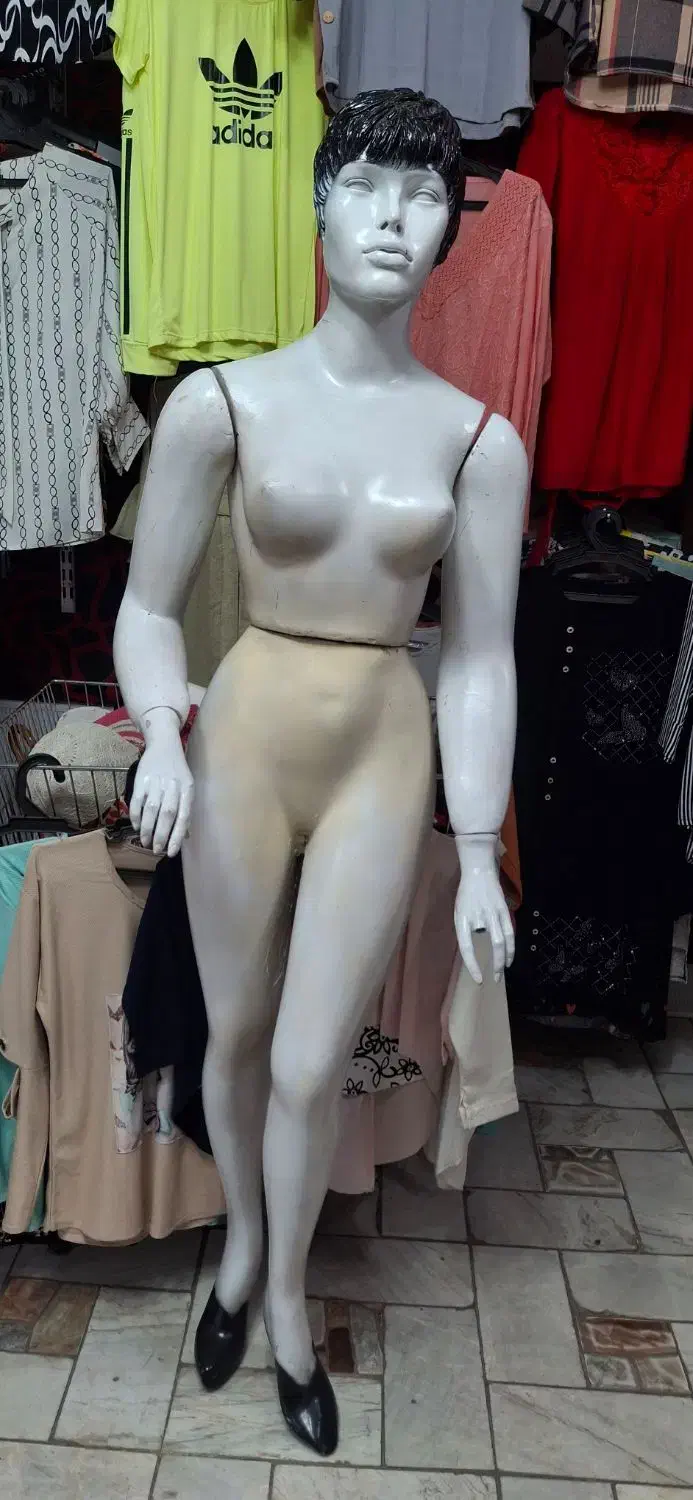 به دلیل جمع آوری مغازه،|فروشگاه و مغازه|رشت, نخودچر|دیوار