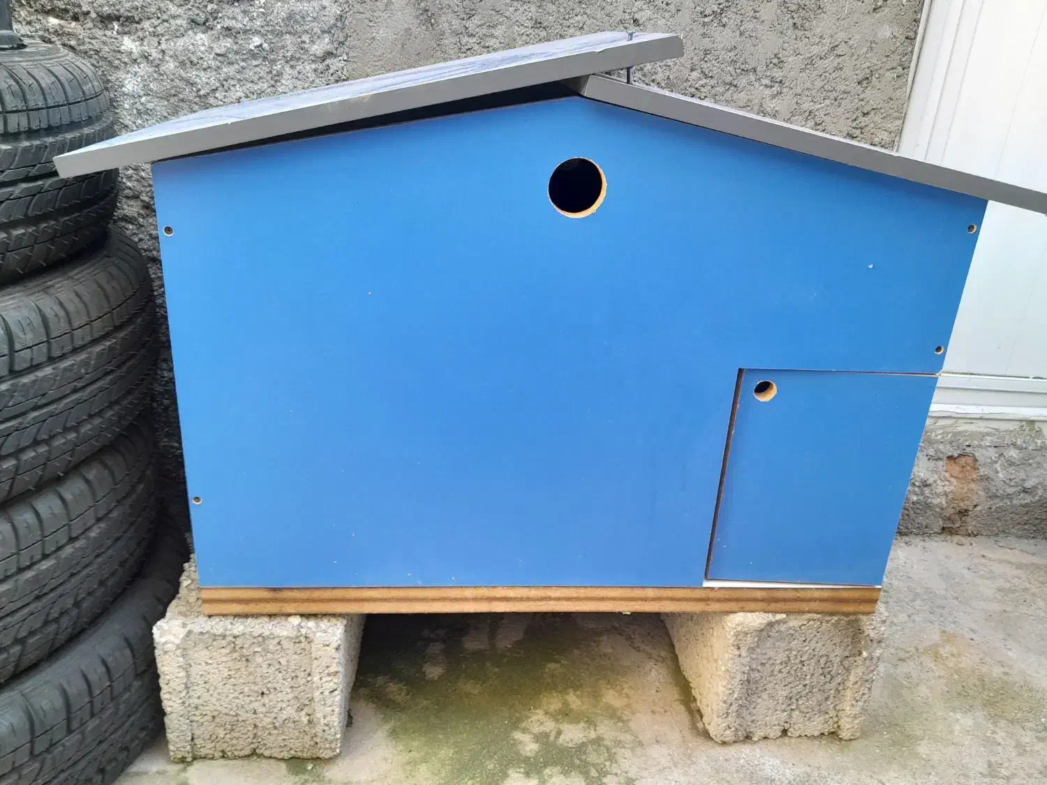 لانه مرغ و کبوتر|لوازم جانبی حیوانات|مشگین شهر, |دیوار