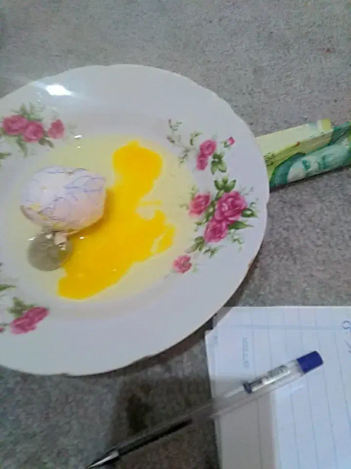 چشم نظر و سنگینی با تخم مرغ شکستن|خدمات پذیرایی، مراسم|گرگان, |دیوار