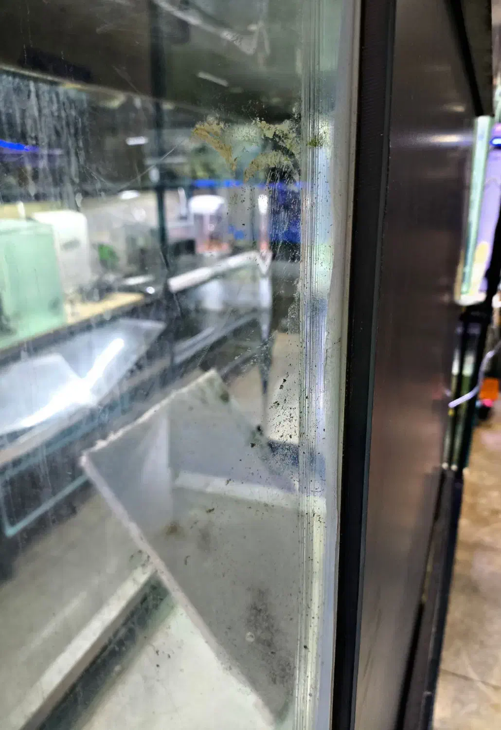 آکواریم شیشه خم سالم با وسایل کامل|ماهی|تهران, حبیب الله|دیوار