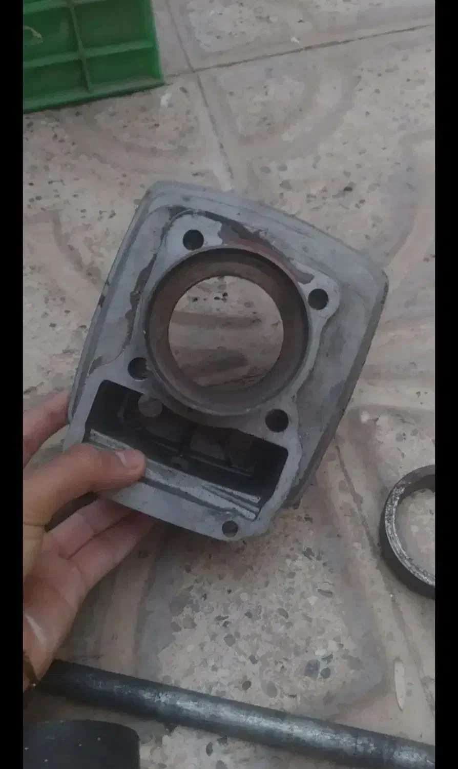 سیندر هندا پرنده عروس کفتر فنچ مرغ عشق فنچ|قطعات یدکی و لوازم جانبی|مشهد, پورسینا|دیوار