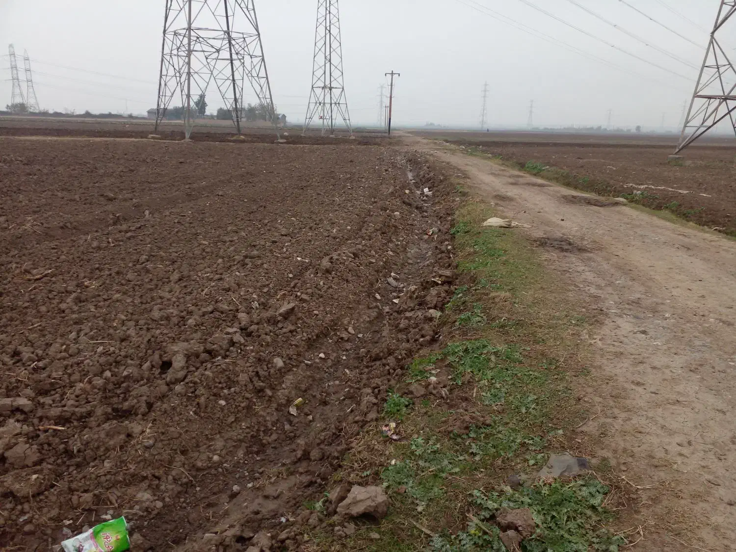 زمین زراعی.کشاورزی|فروش دفتر صنعتی، کشاورزی، تجاری|فاضل آباد, |دیوار