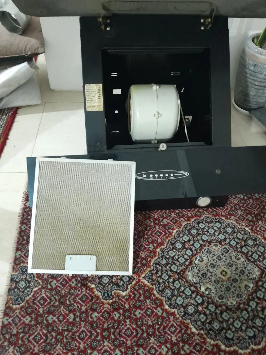 هود سالم|هود|پرند, فاز ۶|دیوار