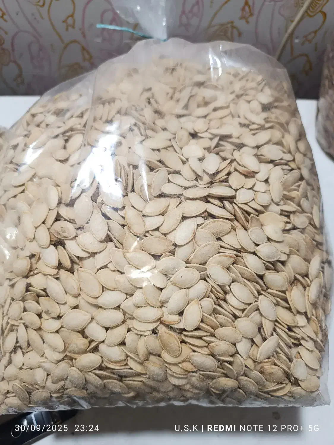 فروش تخمه عمده  و کاپوچینو گوددی|خوردنی و آشامیدنی|شیراز, شهرک مدرس|دیوار