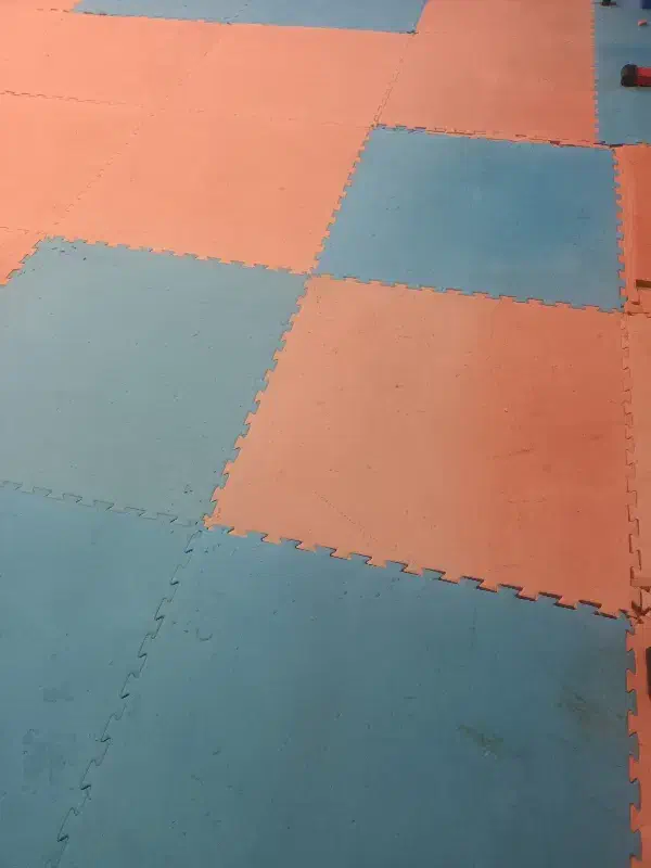 فروش ۱۲۰ عدد تاتامی کارکرده|تجهیزات ورزشی|تهران, سردارجنگل|دیوار