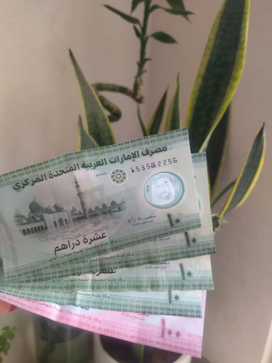 درهم امارات پلیمری کلکسیونی|کلکسیون سکه، تمبر، اسکناس|شیراز, فرهنگ شهر|دیوار
