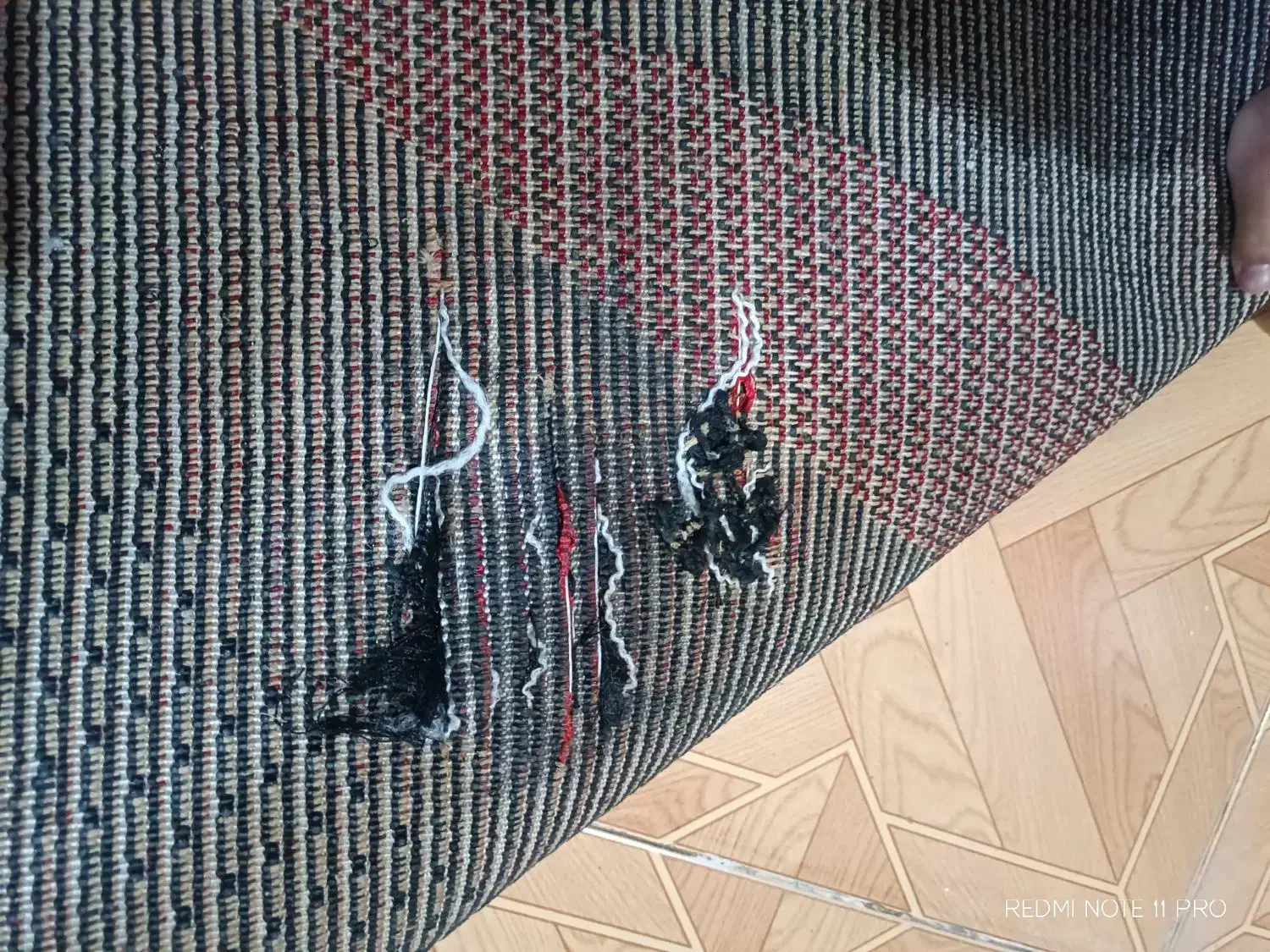 فرش ترکیه۴متری|فرش|تبریز, |دیوار