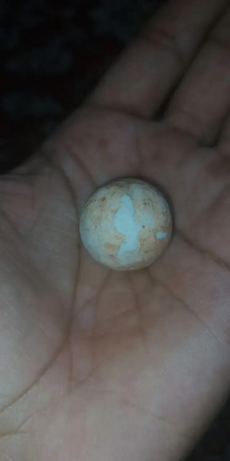 سنگ اسیاب اصل|کلکسیون اشیاء عتیقه|برازجان, |دیوار