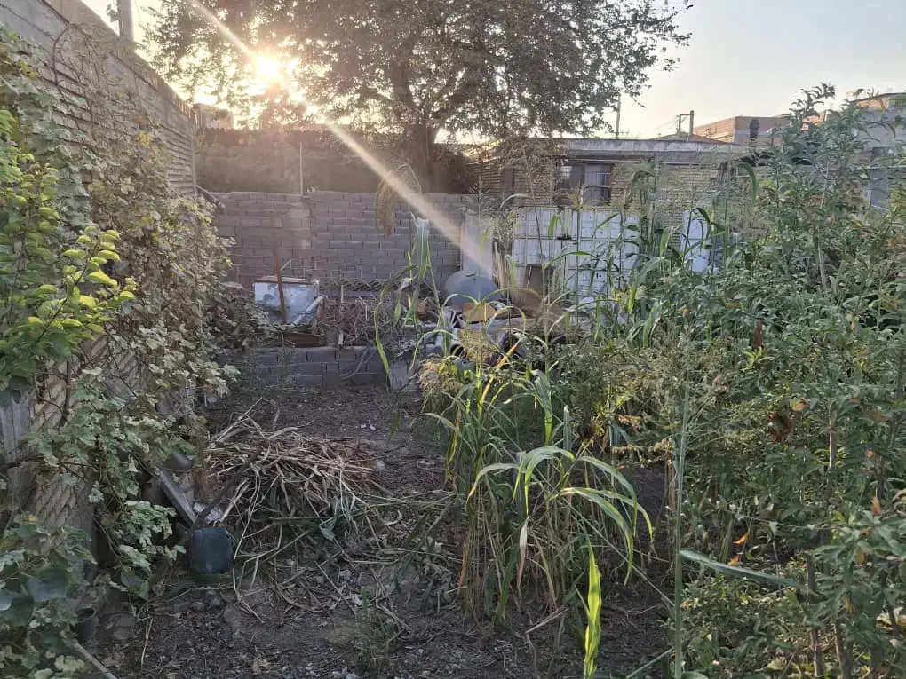 فروش زمین مسکونی سند دار|فروش زمین و ملک کلنگی|سنگدوین, |دیوار