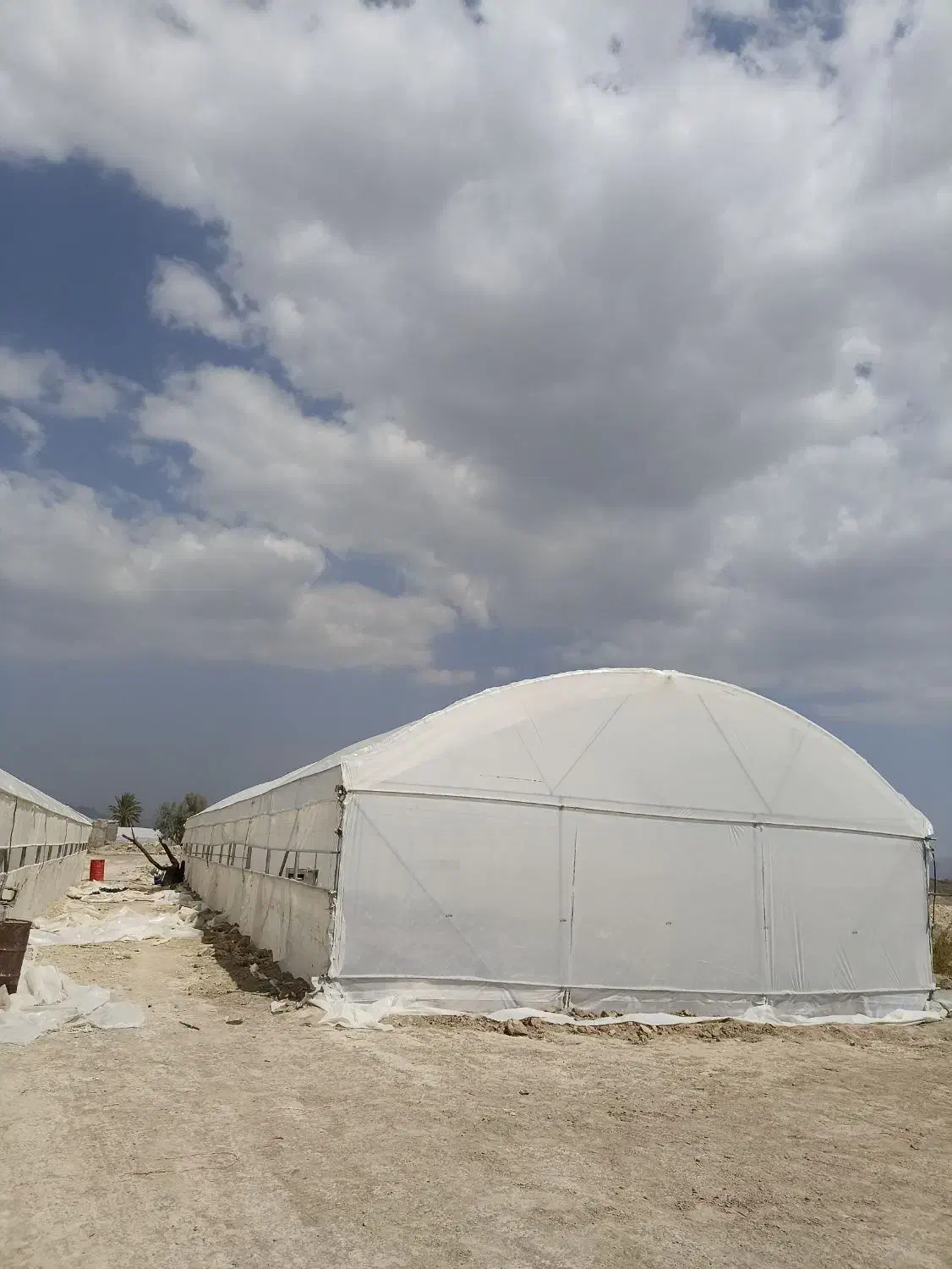 فروش گلخانه خانگی 300متری کاشته شده سوران هست|فروش دفتر صنعتی، کشاورزی، تجاری|سیب و سوران, |دیوار