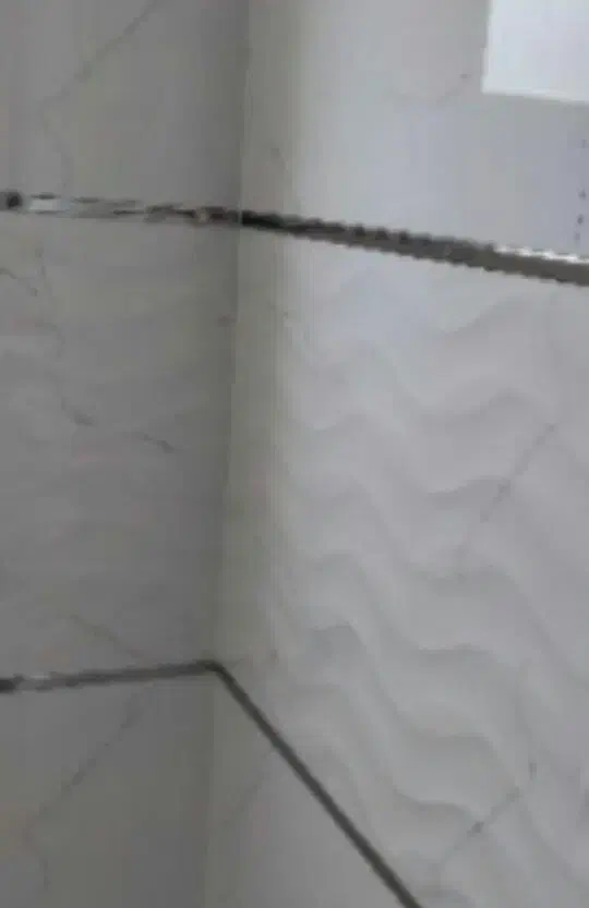 کاشی کاری وسرامیک|خدمات پیشه و مهارت|شاهرود, |دیوار