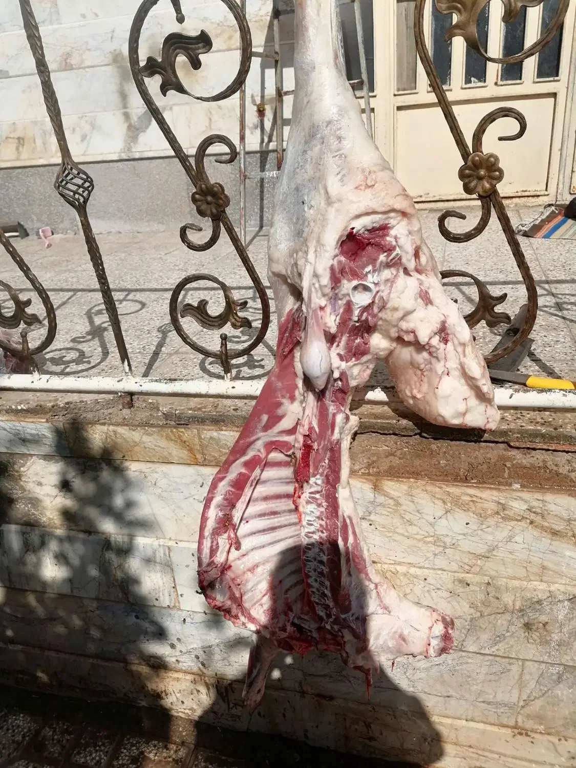 گوشت|خوردنی و آشامیدنی|تربت‌حیدریه, ترمینال|دیوار