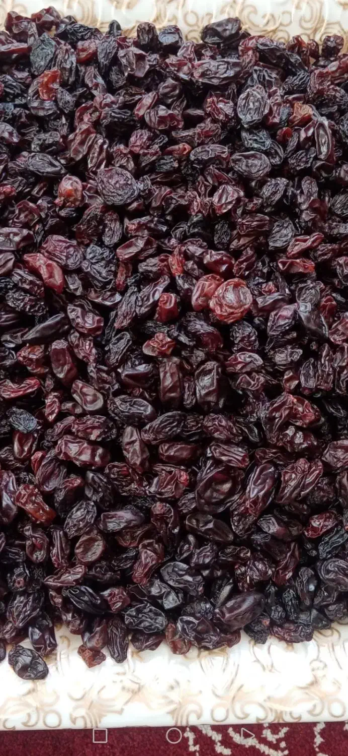 کشمش انگور قرمز آفتاب خورده و کاملا طبیعی|خوردنی و آشامیدنی|ایوان, |دیوار