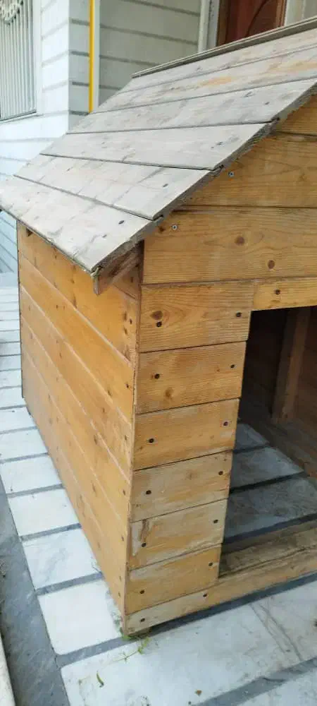 لونه چوبی سگ بزرگ حیوان خانگی|لوازم جانبی حیوانات|جویبار, |دیوار