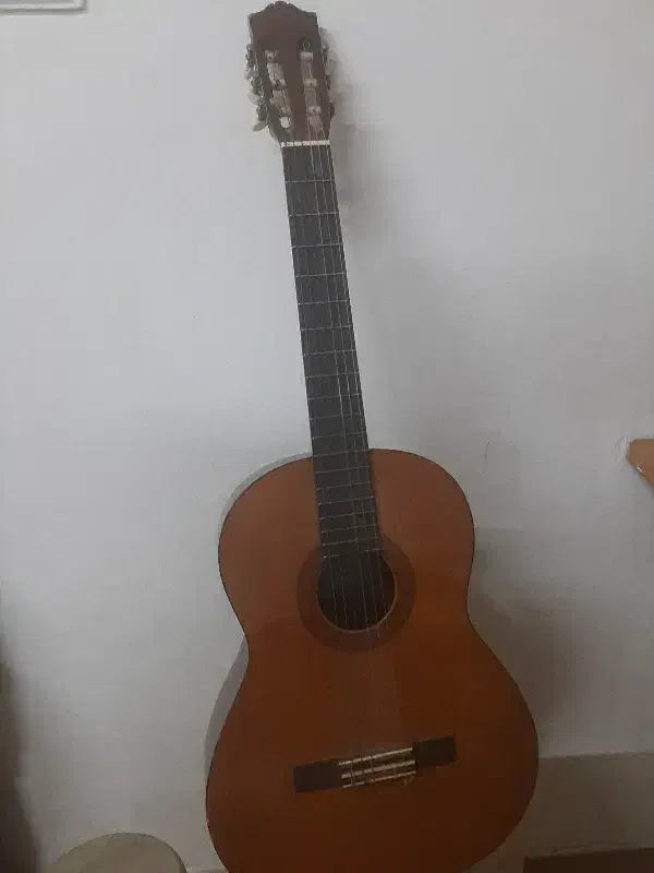 گیتار یاماهاc40|گیتار، بیس، امپلیفایر|بندرعباس, |دیوار