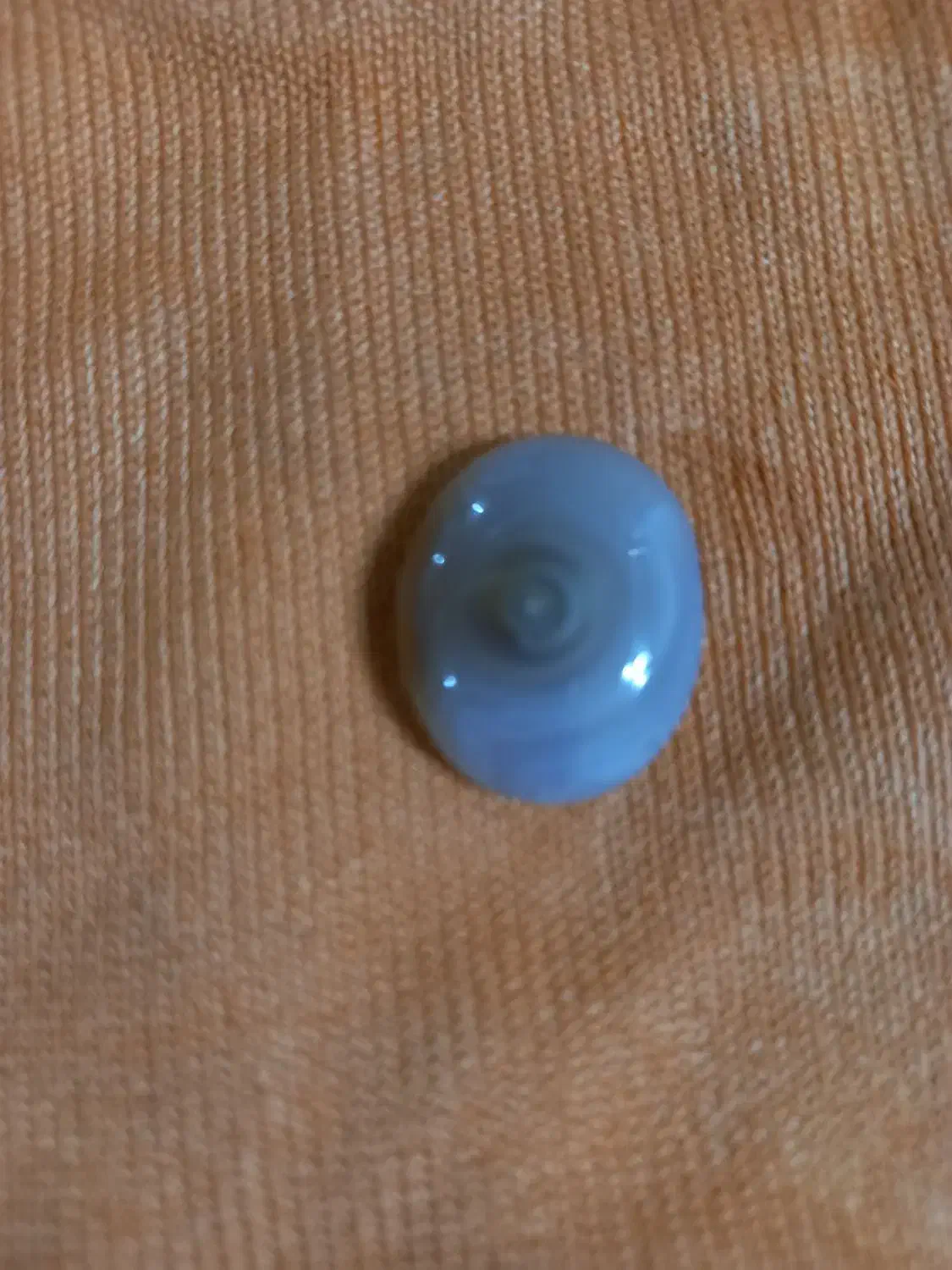 بابا قوری|کلکسیون اشیاء عتیقه|شهرکرد, |دیوار