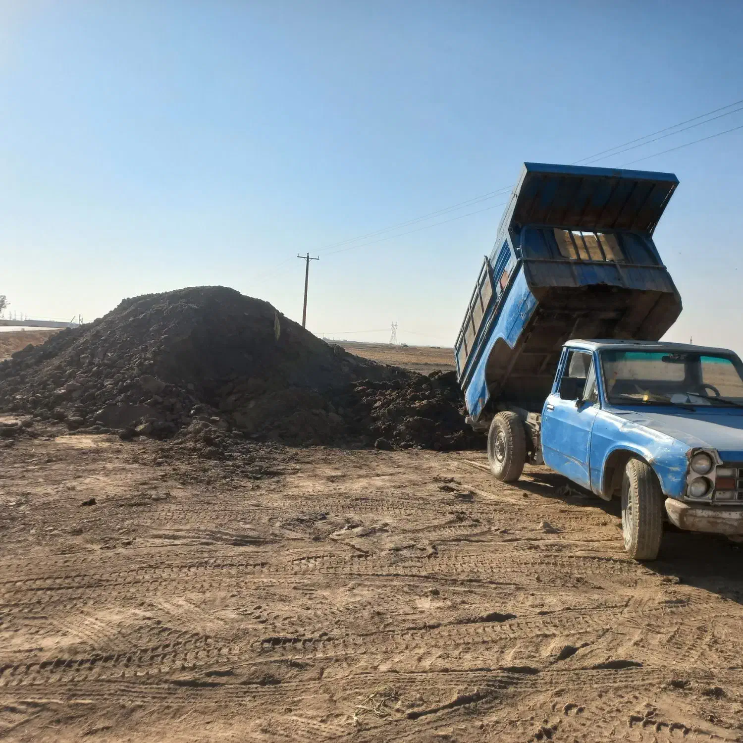 اگه باغ داری الان وقتشه|گل و گیاه طبیعی|نیشابور, شهرک فیروزه|دیوار