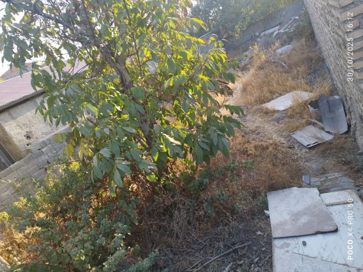 زمین ۲۰۰ متر واقع در کوشکوزر|فروش زمین و ملک کلنگی|هشتگرد, کوشک زر|دیوار