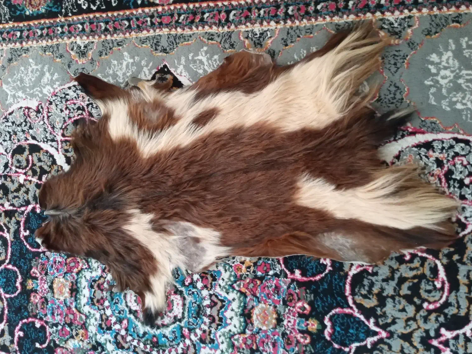 وسایل تزینی فروش فوری|صنایع دستی و سایر لوازم تزئینی|سنندج, |دیوار