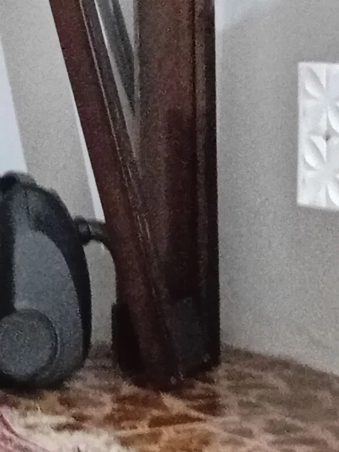 حراج لوازم خانگی|حراج|چالوس, |دیوار