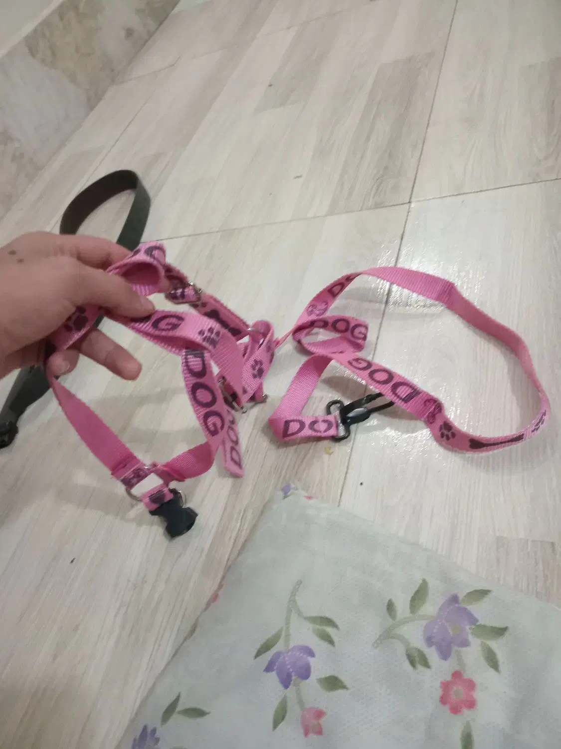 قلاده کتفی سگ|لوازم جانبی حیوانات|اندیشه, اندیشه فاز ۳|دیوار