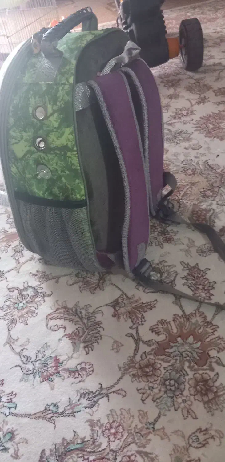 اهواز.شیبان|لوازم جانبی حیوانات|اهواز, زرگان|دیوار