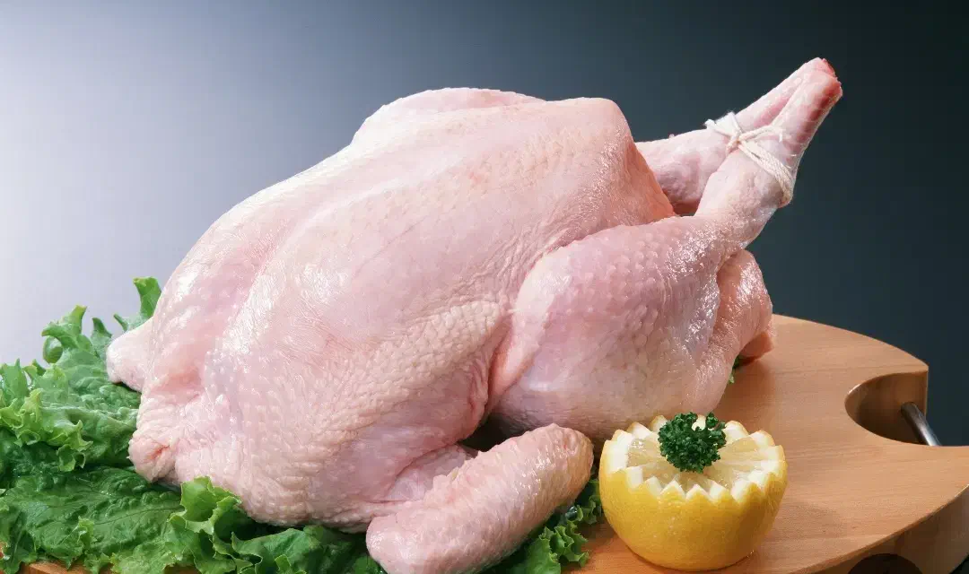 سینه مرغ وشنیسل و ران سایز مرغ شمال|عمده‌فروشی|هشتگرد, فاز ۱ مهستان|دیوار