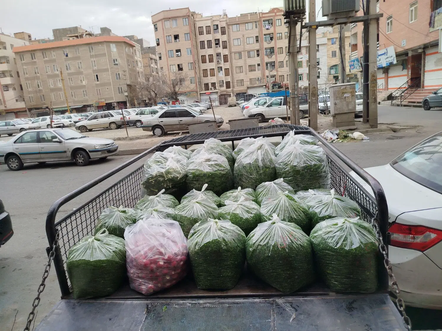 سبزی آماده|خوردنی و آشامیدنی|تهران, مولوی|دیوار