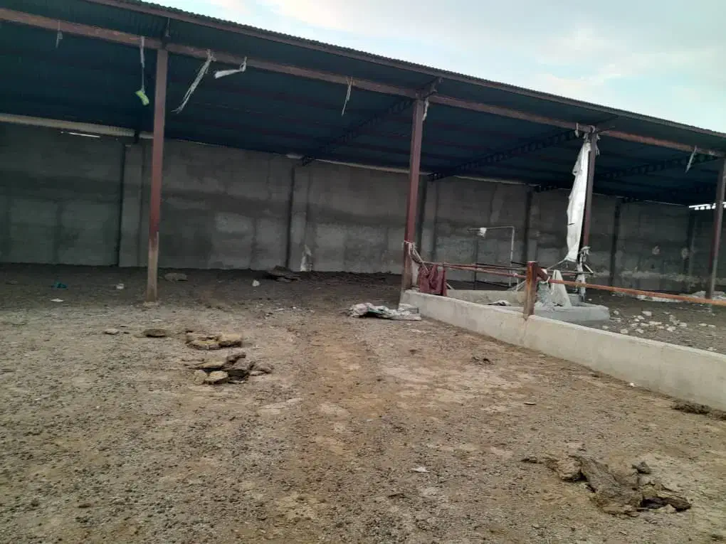 گاو داری متراژ ۲هزار متر|اجارهٔ دفتر صنعتی، کشاورزی، تجاری|رضویه, |دیوار