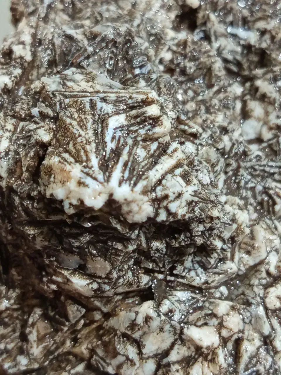 ناترولیت کلسدونی بوتروئیدال رزگلد فسیل یشم کوارتز|جواهرات|اصفهان, شهرک گل نرگس|دیوار