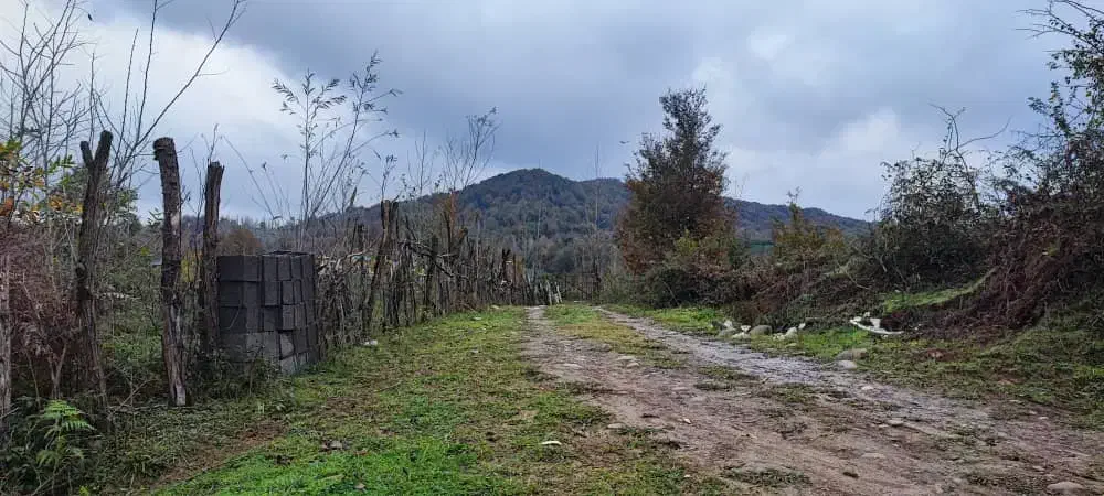 42000هزارمتر باغی مسکونی استخر گیلان|فروش خانه و ویلا|احمدسرگوراب, |دیوار