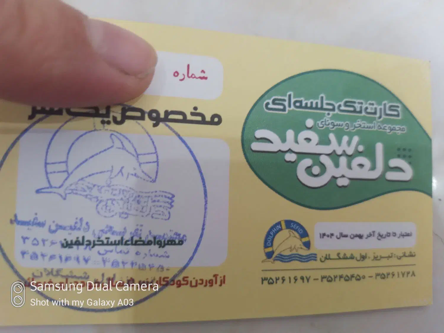 بلیط استخر خانواده ، دلفین ، صدرا|غواصی و ورزشهای آبی|تبریز, |دیوار