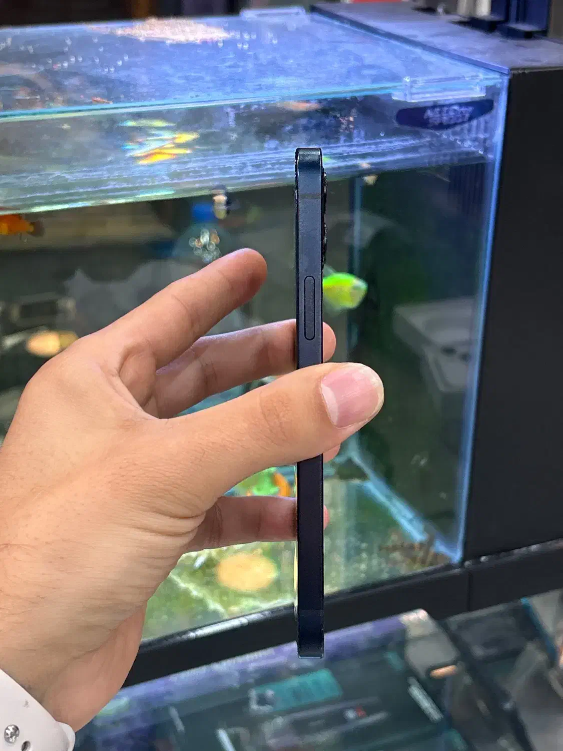 12normal|موبایل|شیراز, زند|دیوار