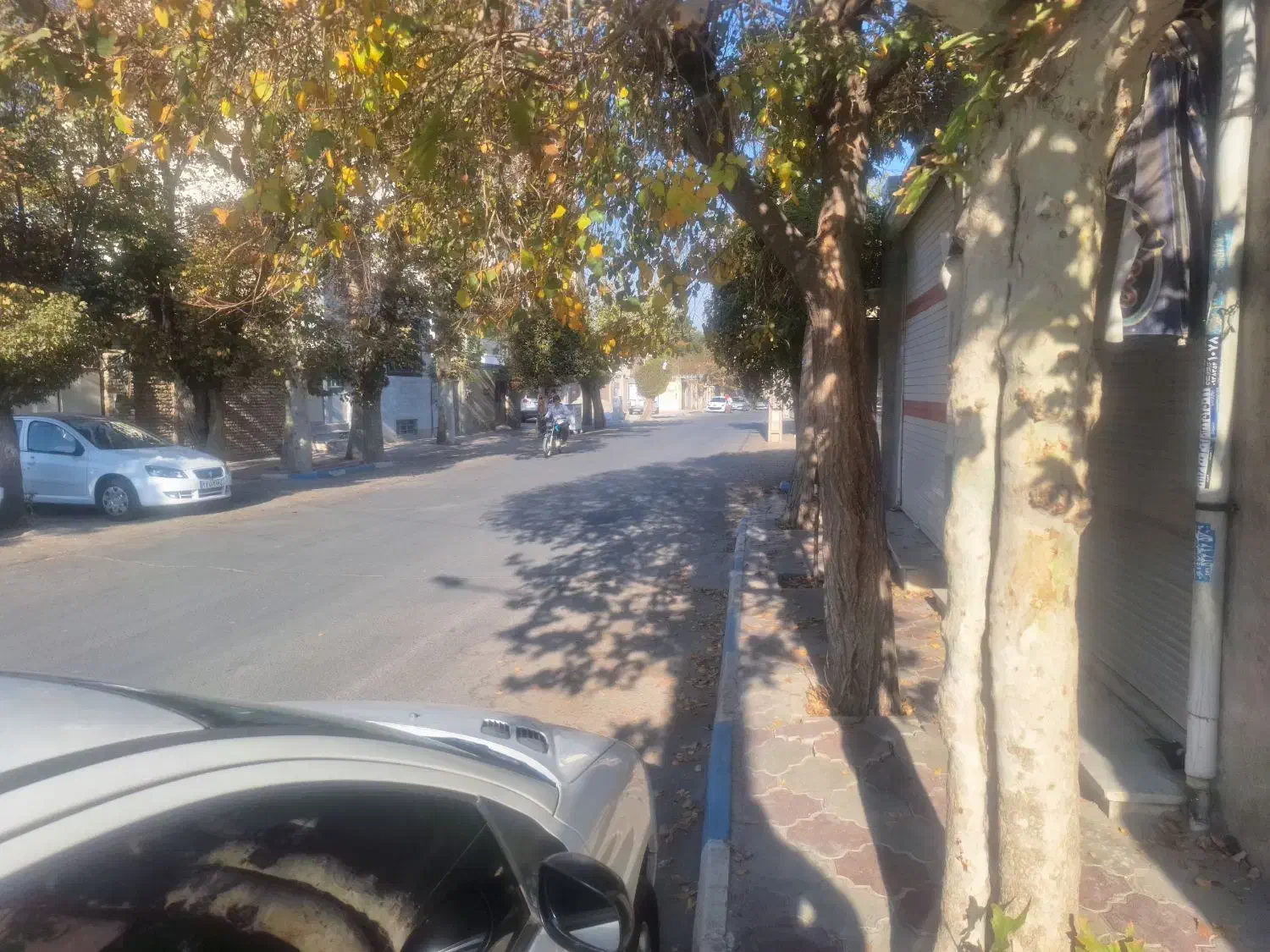 اجاره مغازه ۱۲ متری|اجارهٔ مغازه و غرفه|شاهدشهر, |دیوار