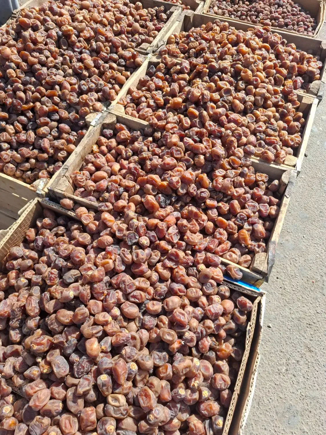 برحی درجه یک آبادان|خوردنی و آشامیدنی|تهران, عباسی|دیوار