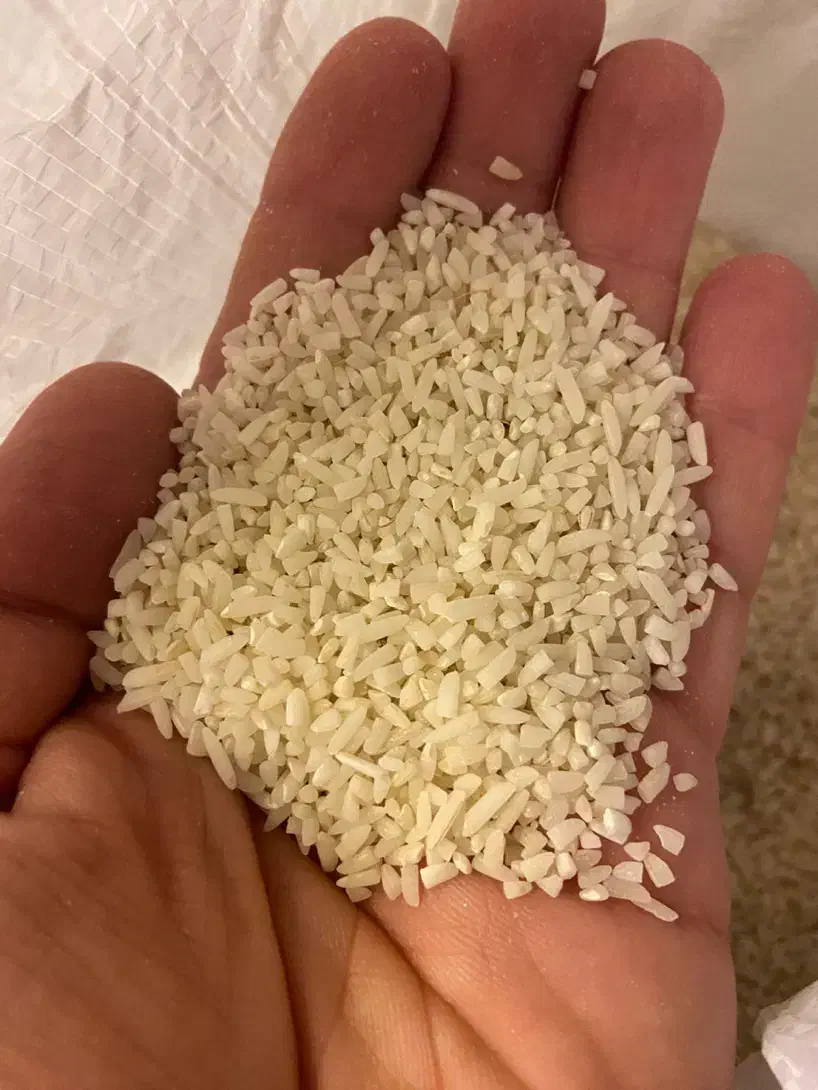 برنج نیم دانه و سالم هاشمی امساله|خوردنی و آشامیدنی|رشت, سعدی (تختی)|دیوار