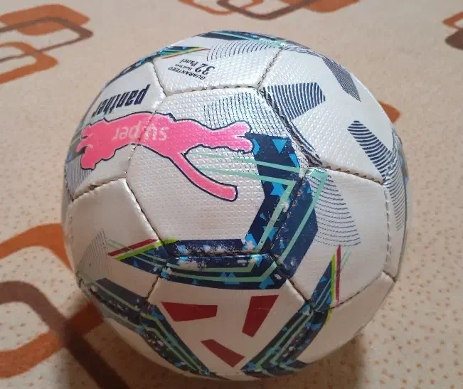 توپ سالنی|ورزش‌های توپی|گزیک, |دیوار