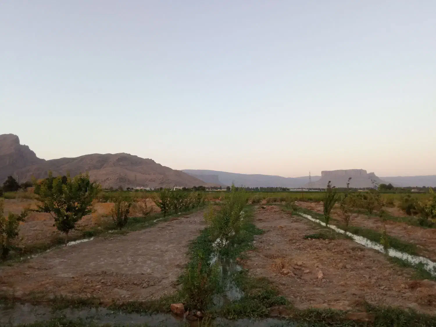 فروش 2400متر زمین باغ فروشی سنددار|فروش زمین و ملک کلنگی|مرودشت, رامجرد یک|دیوار