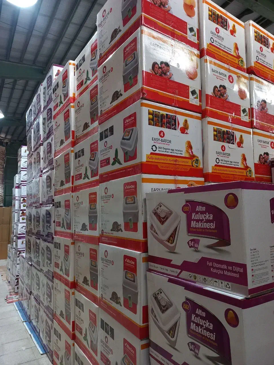 دستگاه ایزی باتور 5-6 جوجه کشی12تایی|لوازم جانبی حیوانات|گرگان, |دیوار