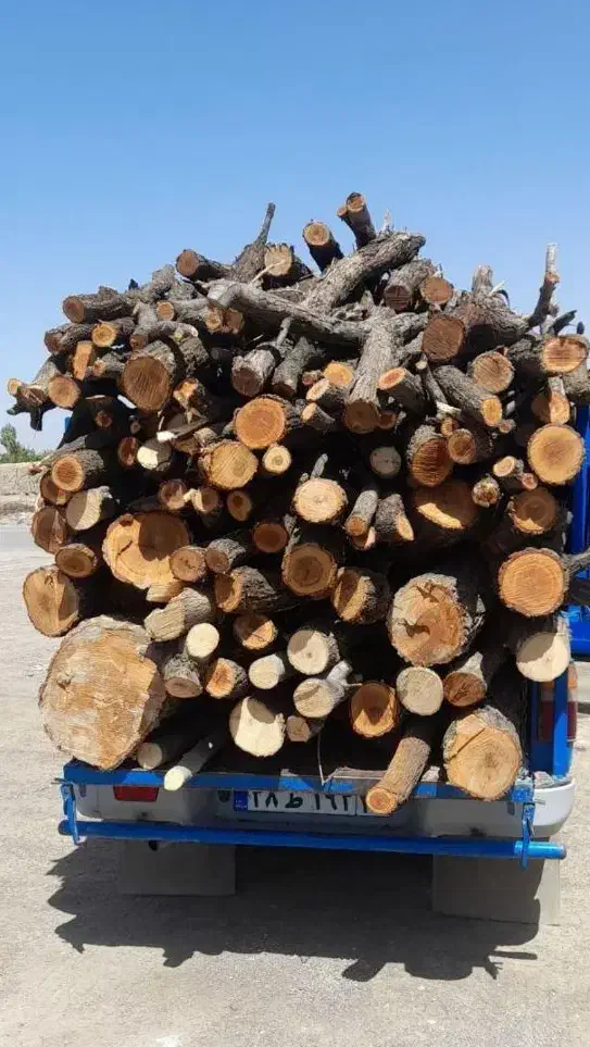 خرید انواع چوب باغی بع قیمت کارخانه.|خدمات باغبانی و درختکاری|چناران, |دیوار