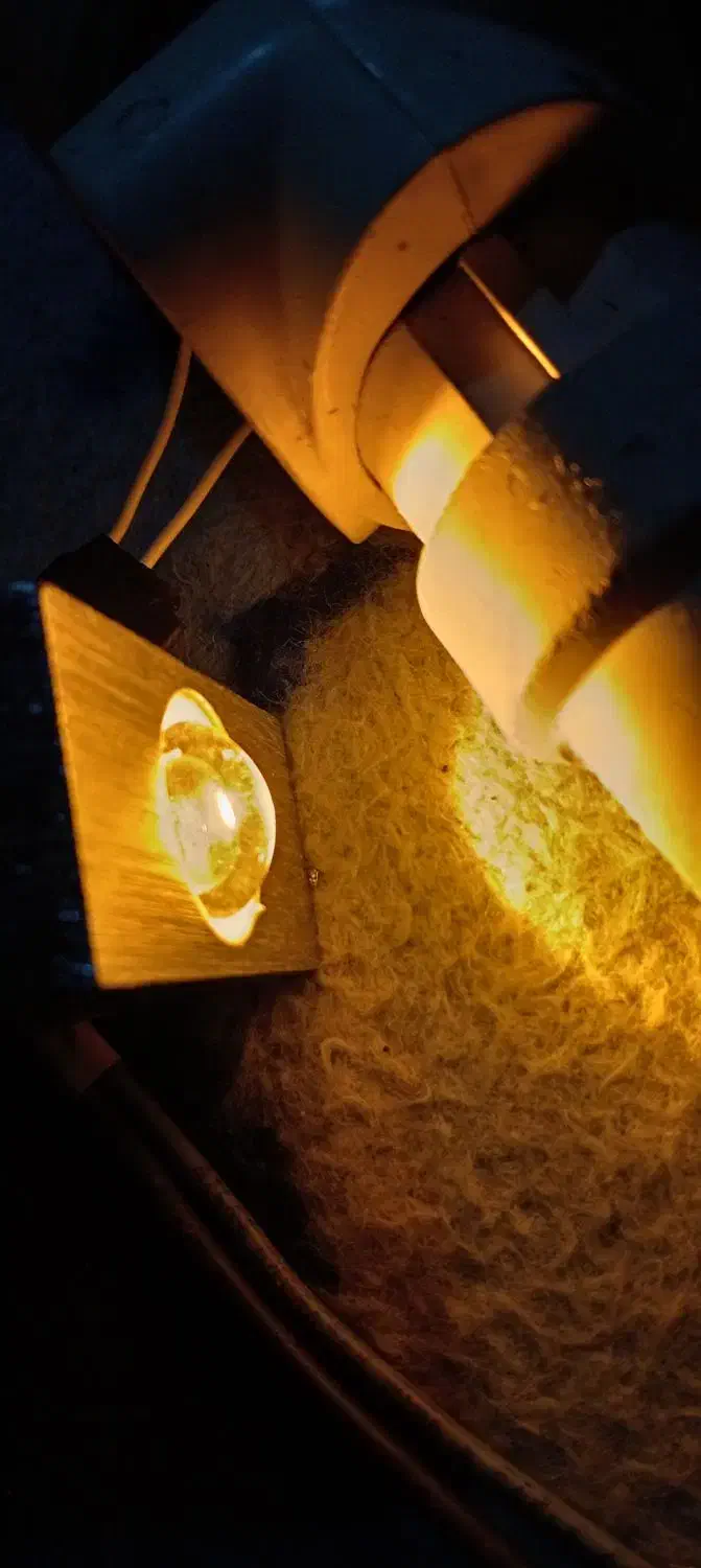 چراغ نمای دکور|ریسه و چراغ تزئینی|سبزوار, شهرک جهاد|دیوار