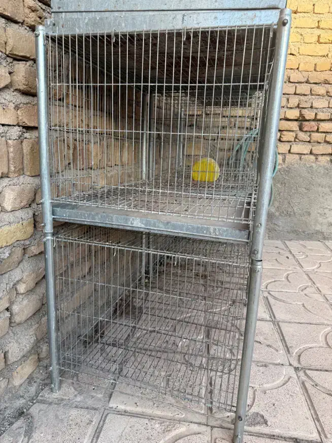 قفس جفت|لوازم جانبی حیوانات|مرند, |دیوار