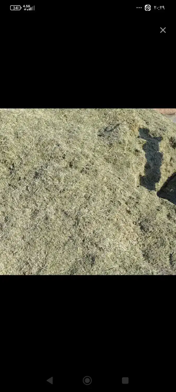 کاه لوبیا چیتی|لوازم جانبی حیوانات|ناغان, |دیوار