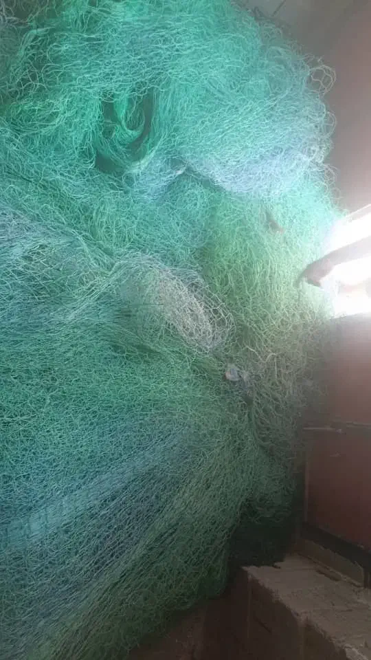 دو عدد طور محاصری یک عدد رشته ای یک عدد نخ ای|ماهیگیری|قشم, |دیوار