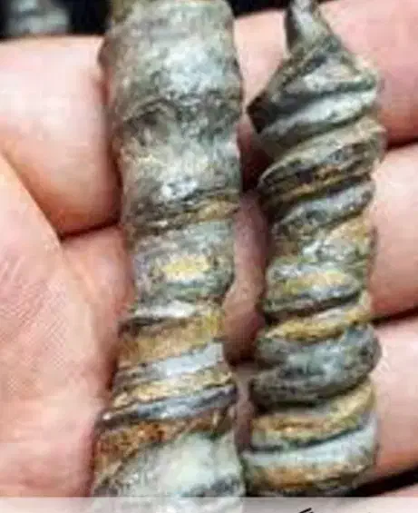 انگشتر و مهره فروش|جواهرات|کارون, |دیوار