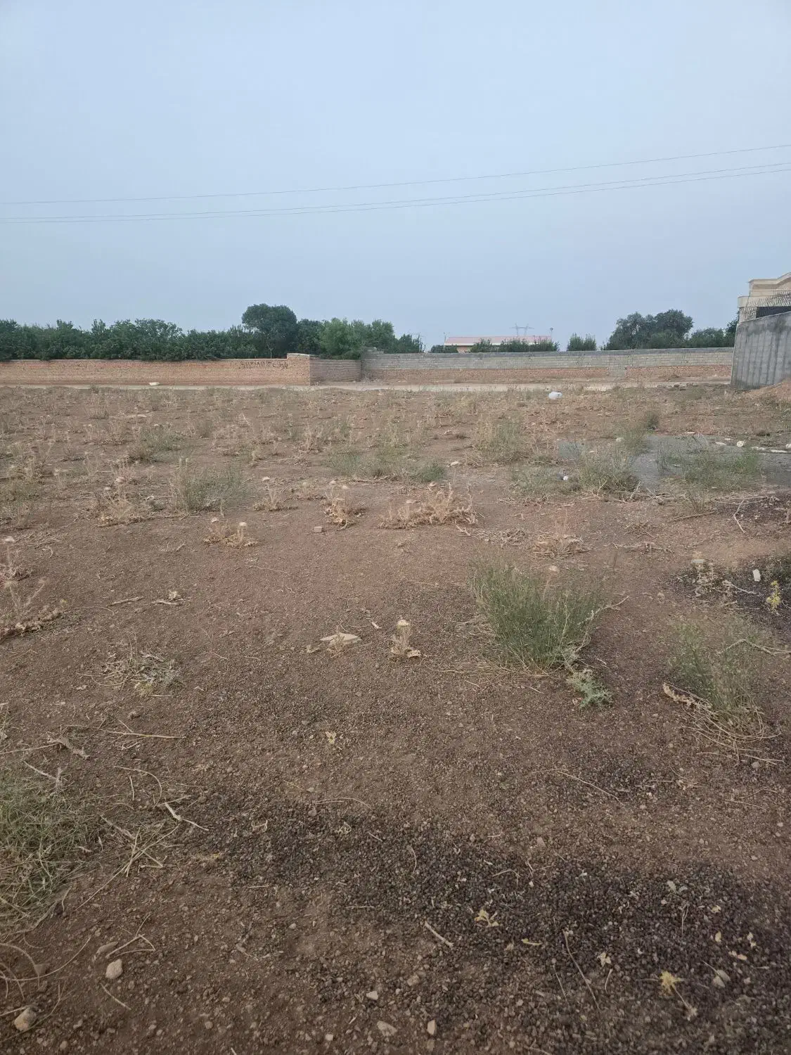 فروش زمین مسکونی خیرآباد|فروش زمین و ملک کلنگی|معصومیه, |دیوار