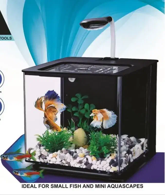 گالری آکواریوم مومنی فروش ویژه گوپی میکس|ماهی|نیشابور, امام|دیوار